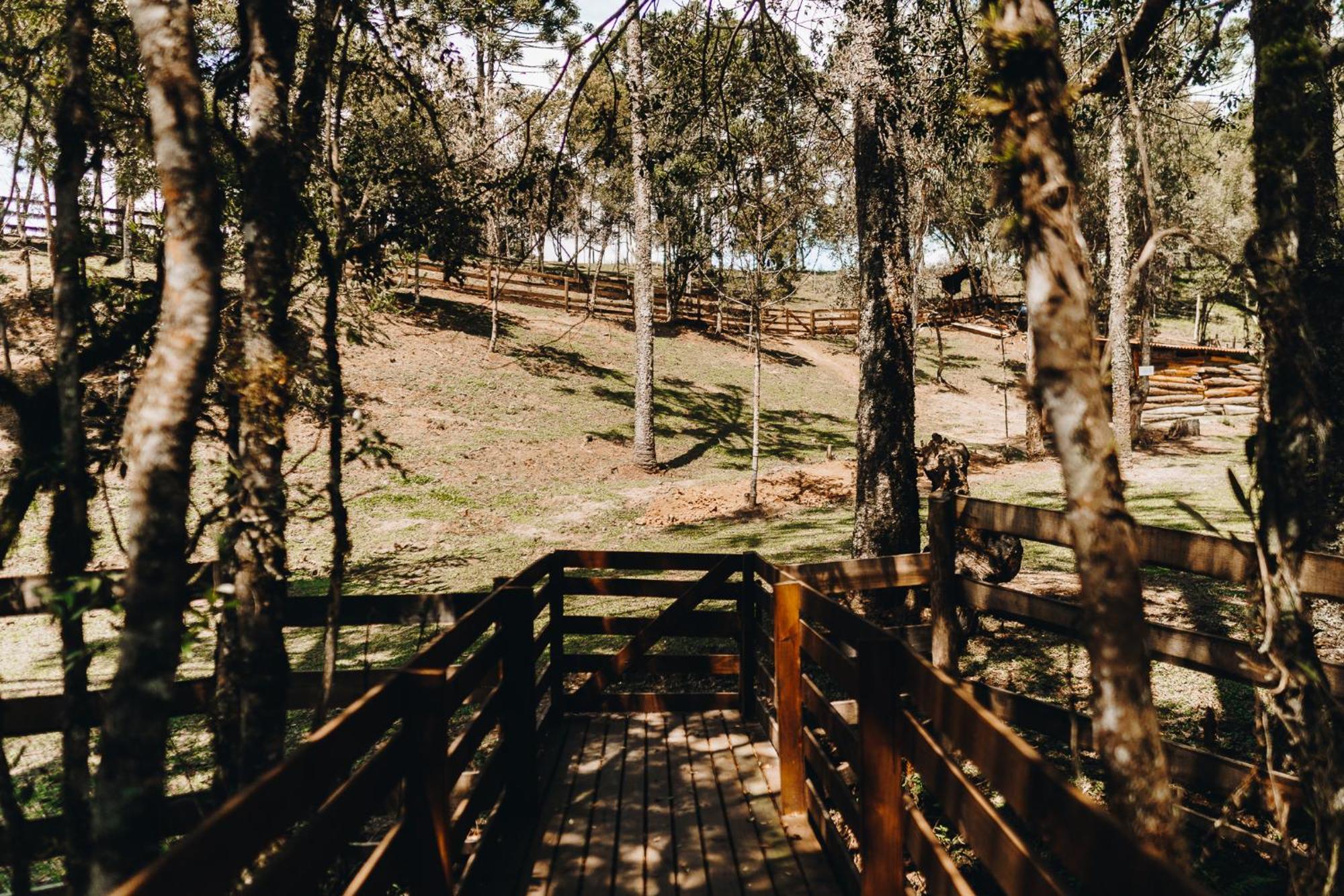 Chale Aconchego - Pousada Cachoeira Da Neve Urubici Exterior photo